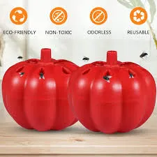 [516040022] מלכודת זבובונים פירות - 2 יח'